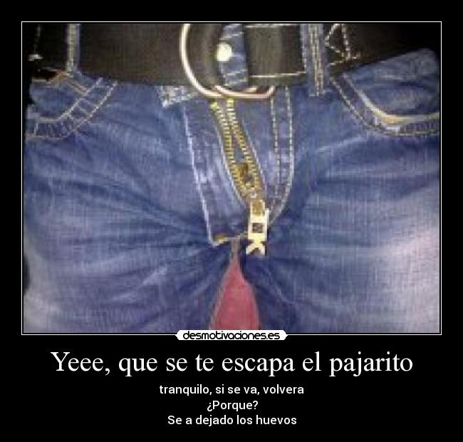 Yeee, que se te escapa el pajarito -