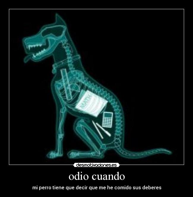 odio cuando - mi perro tiene que decir que me he comido sus deberes