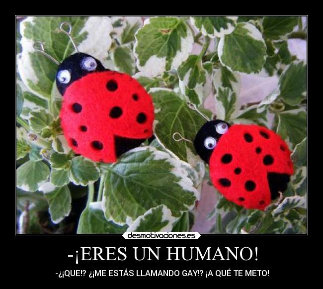 -¡ERES UN HUMANO! -