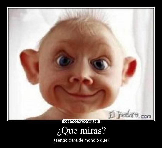 ¿Que miras? - ¿Tengo cara de mono o que?