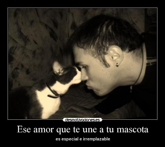 carteles amor mascotaamor desmotivaciones