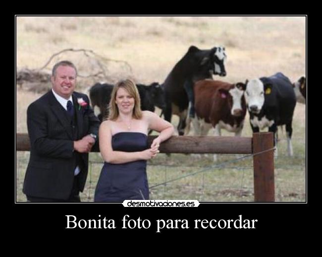 carteles foto follando desmotivaciones