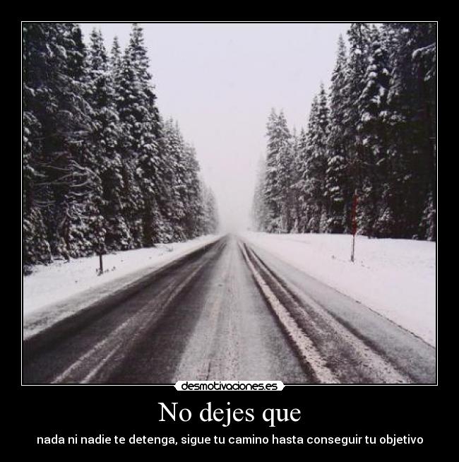 No dejes que - nada ni nadie te detenga, sigue tu camino hasta conseguir tu objetivo