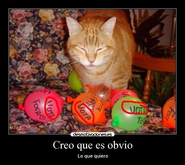 Creo que es obvio - Lo que quiero