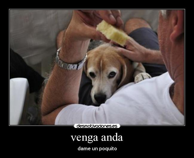 venga anda Desmotivaciones