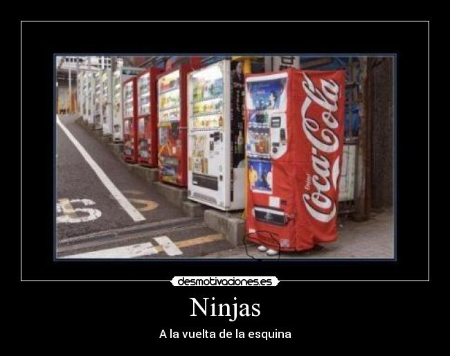 Ninjas - 