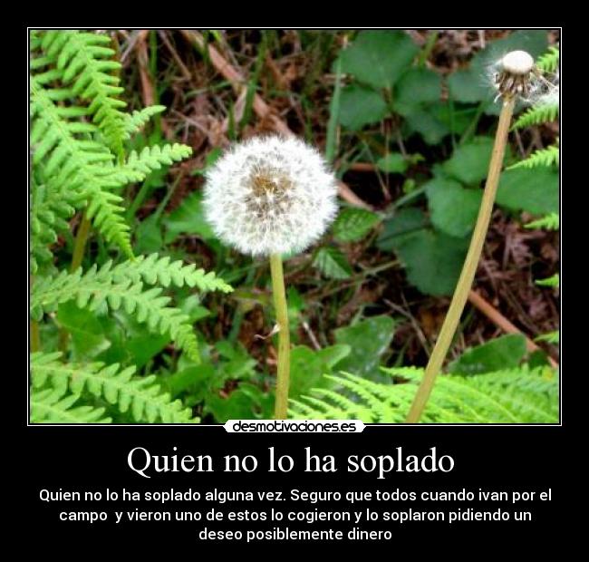 Quien no lo ha soplado -