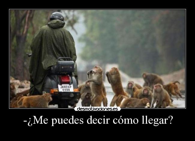 -¿Me puedes decir cómo llegar? - 