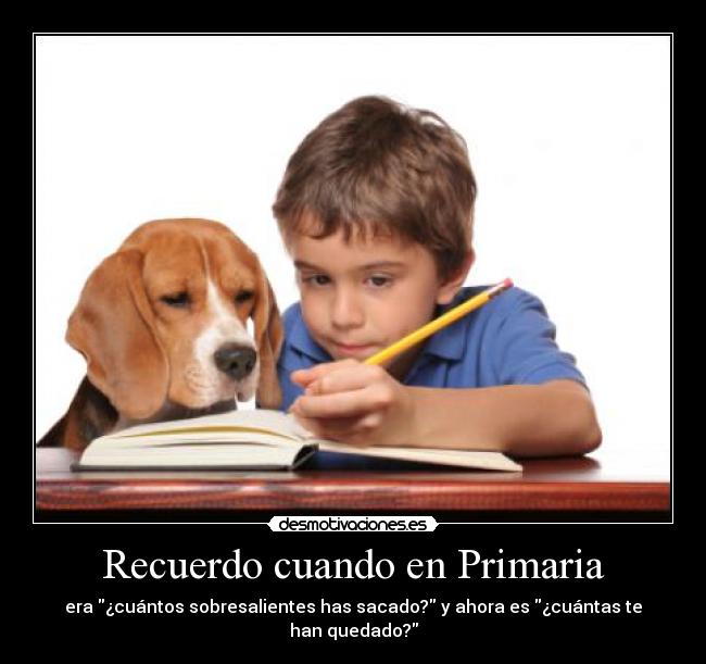 carteles httpwwwgoogleesimgresimgurlhttpdata6blogdemedia3045233304_5532c02547_mjpegimgrefur desmotivaciones