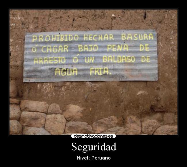 Seguridad - Nivel : Peruano