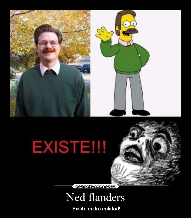 Ned flanders - ¡Existe en la realidad!