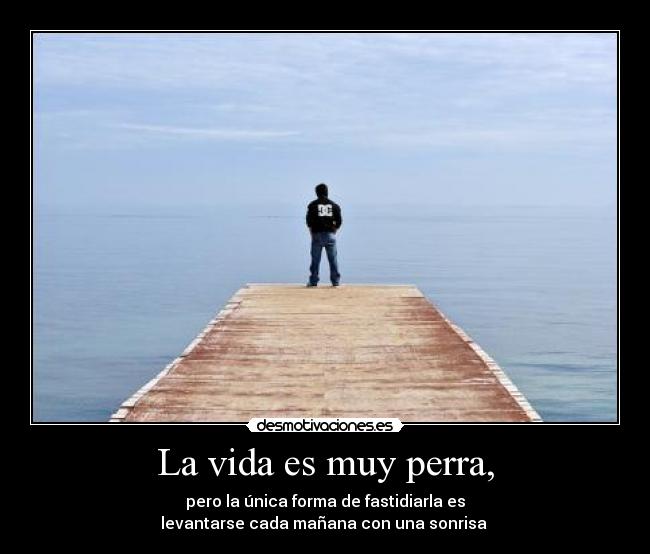 La vida es muy perra, -