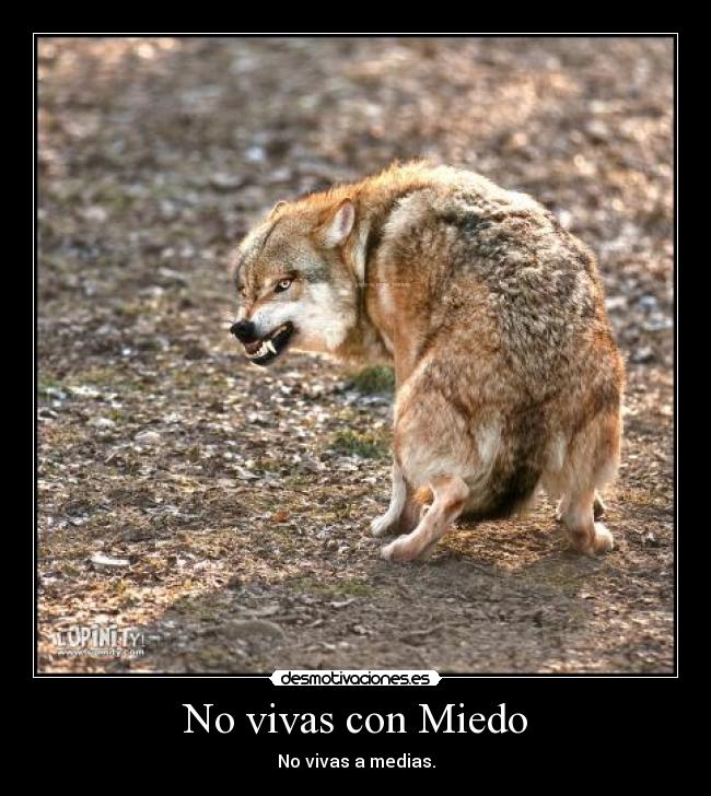 No vivas con Miedo - 