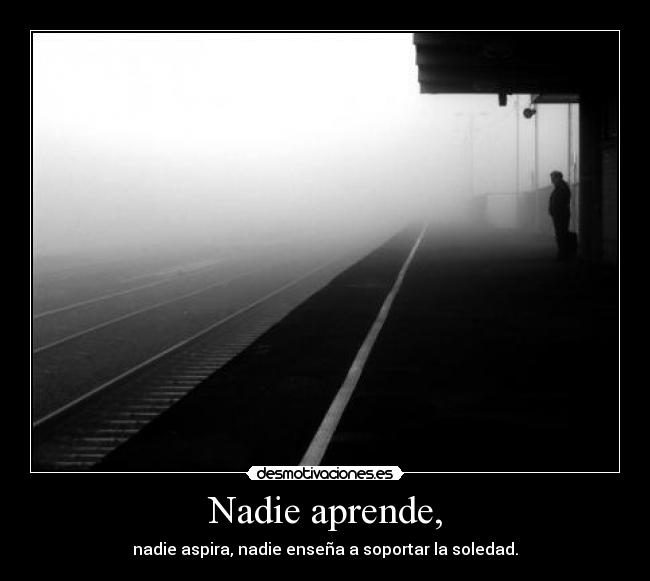 Nadie aprende, - 