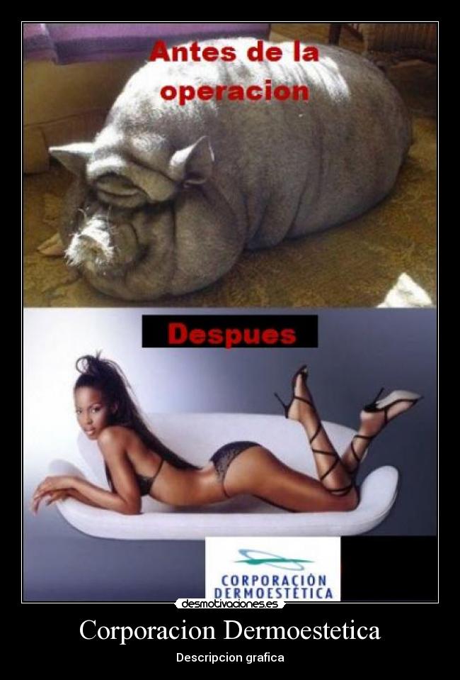 carteles corporacion dermoestetica desmotivaciones