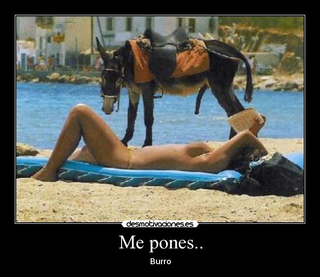 Me pones.. - Burro