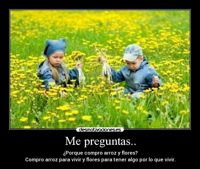 Me preguntas.. -
