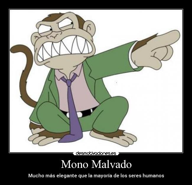 Mono Malvado - Mucho más elegante que la mayoría de los seres humanos