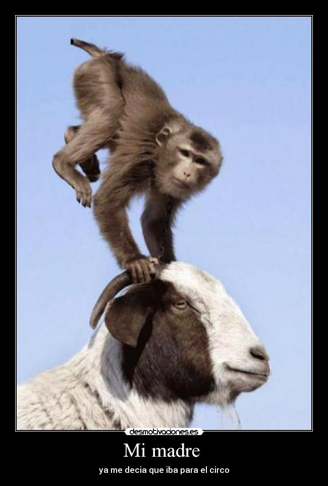 Mi madre - ya me decia que iba para el circo