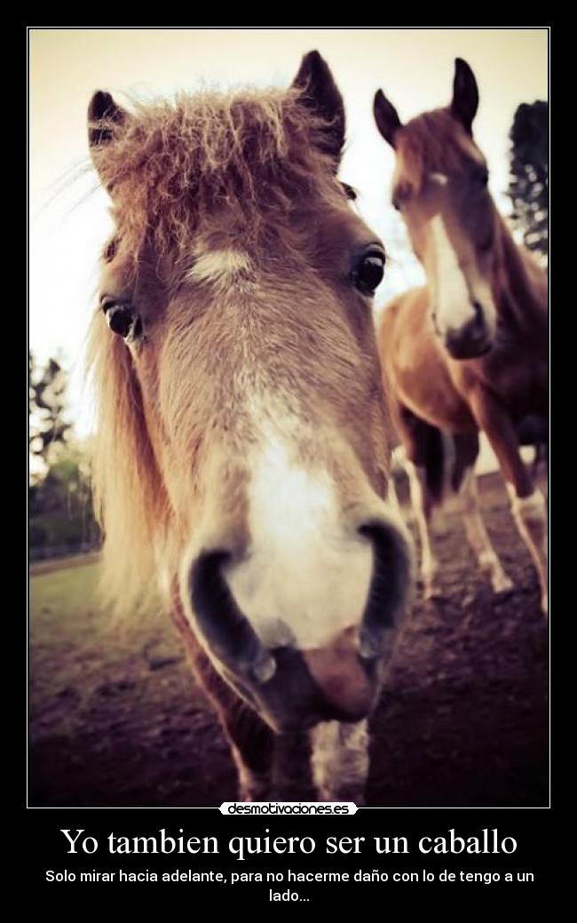 Yo tambien quiero ser un caballo -