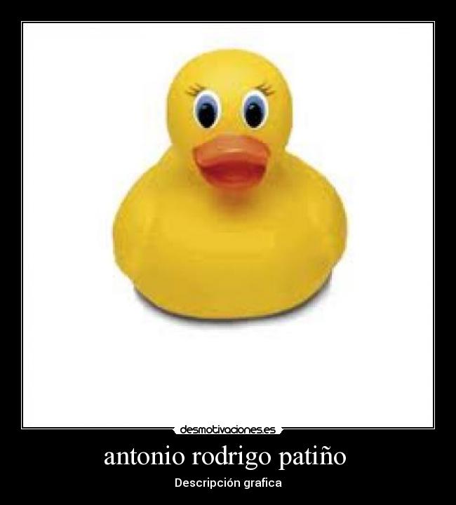 antonio rodrigo patiño - Descripción grafica
