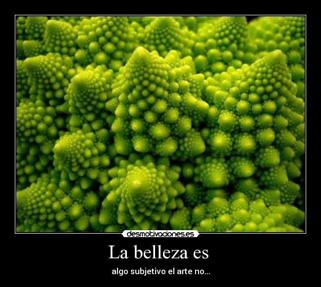 La belleza es - algo subjetivo el arte no...