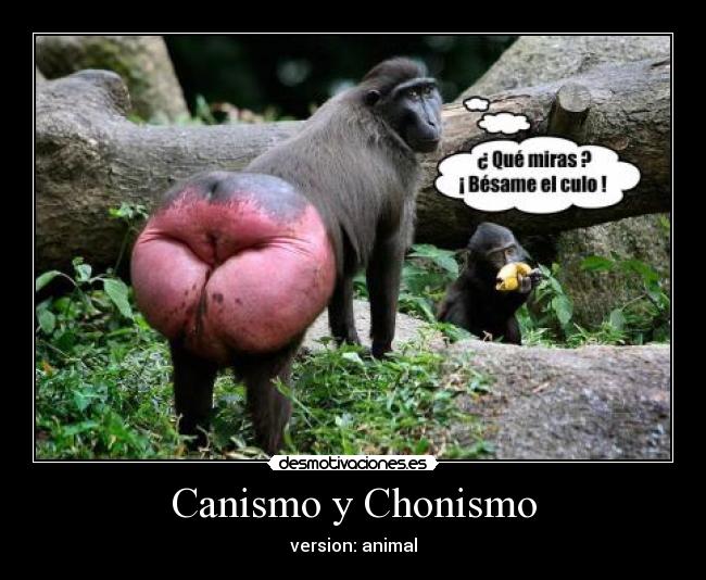 Canismo y Chonismo -