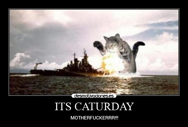 ITS CATURDAY - 