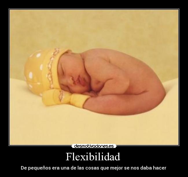 Flexibilidad -