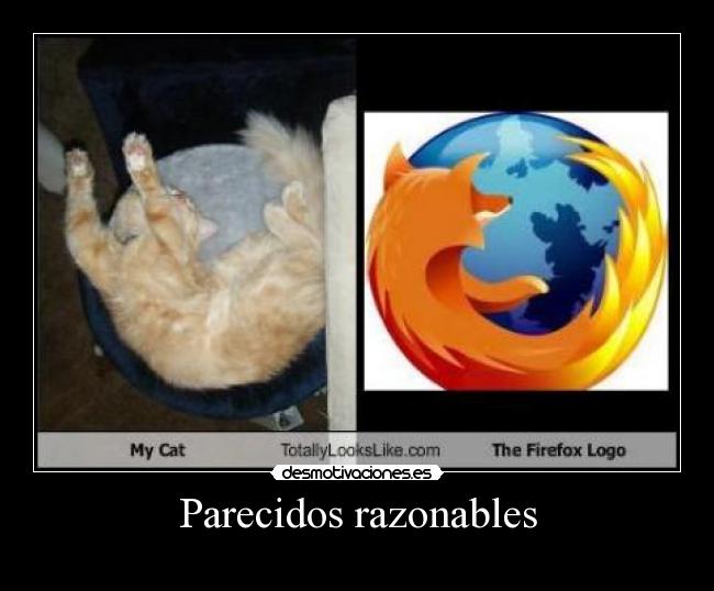 Parecidos razonables -