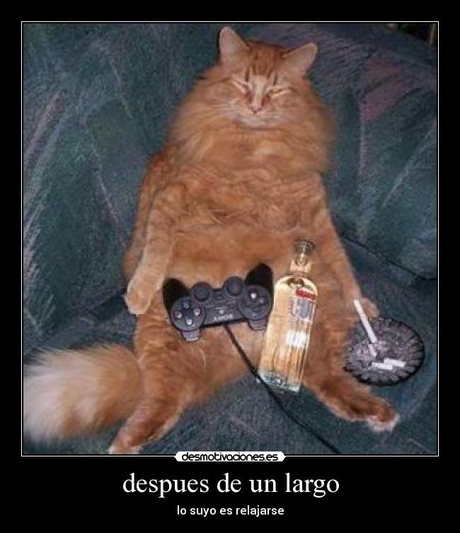 despues de un largo - lo suyo es relajarse