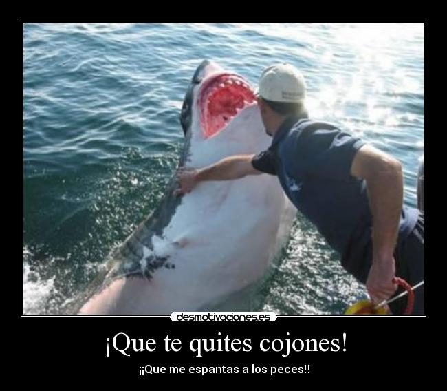 carteles shark slapping pescador tiburon desmotivaciones