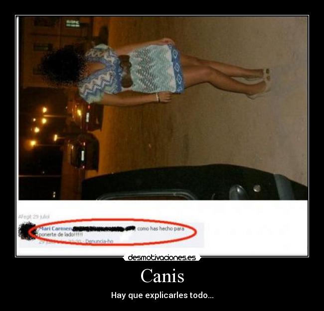 Canis -