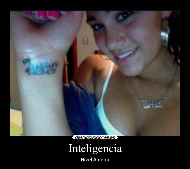 Inteligencia - Nivel:Ameba