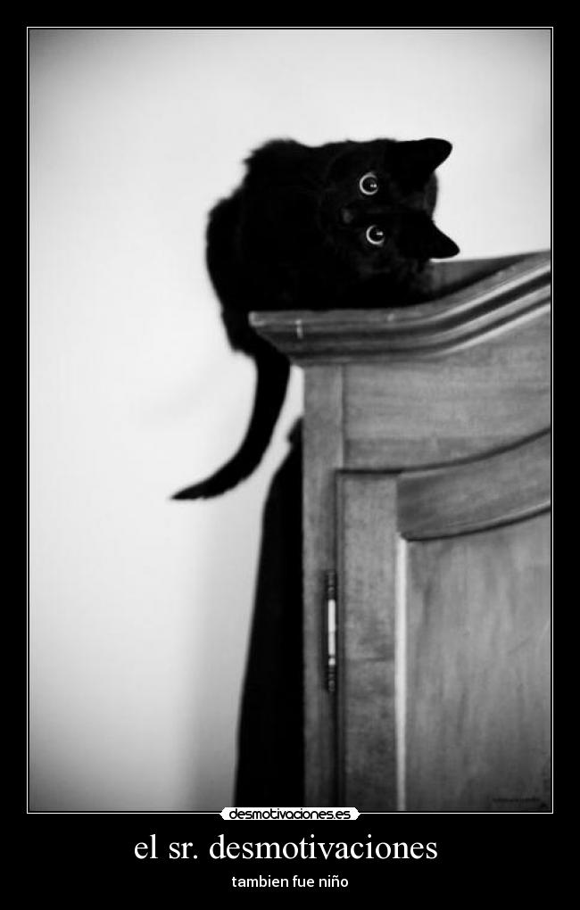 el sr. desmotivaciones -