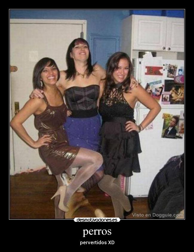 perros - pervertidos XD