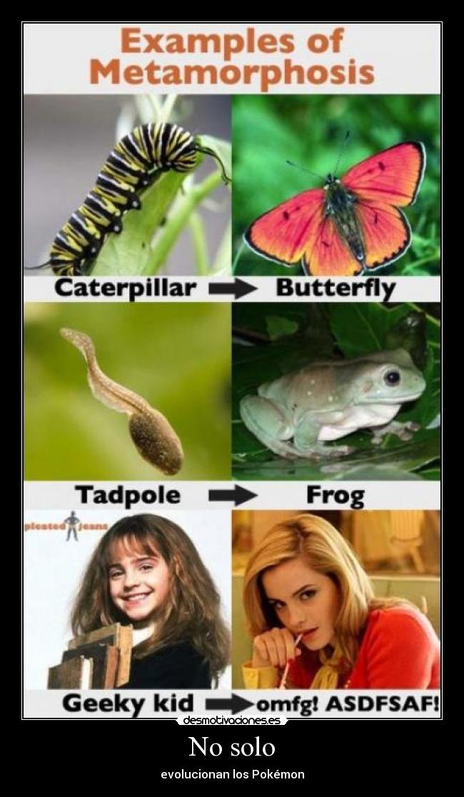 No solo - evolucionan los Pokémon