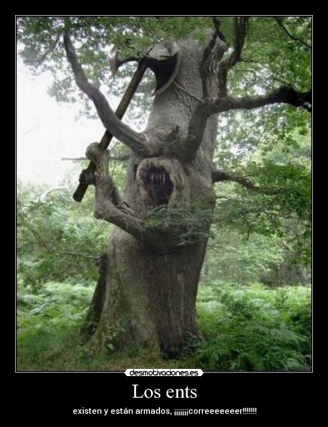 Los ents - existen y están armados, ¡¡¡¡¡¡¡correeeeeeer!!!!!!!