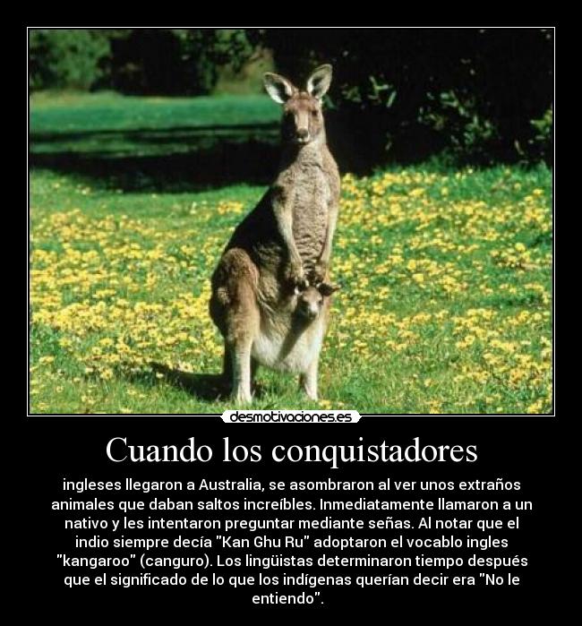 Cuando los conquistadores - ingleses llegaron a Australia, se asombraron al ver unos extraños
animales que daban saltos increíbles. Inmediatamente llamaron a un
nativo y les intentaron preguntar mediante señas. Al notar que el
indio siempre decía Kan Ghu Ru adoptaron el vocablo ingles
kangaroo (canguro). Los lingüistas determinaron tiempo después
que el significado de lo que los indígenas querían decir era No le
entiendo.