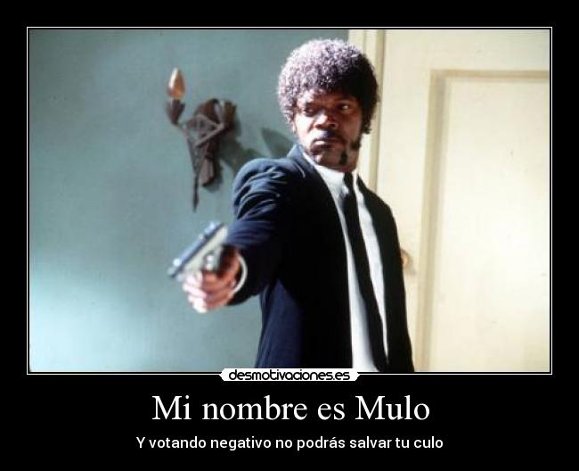 carteles mulo desmotivaciones