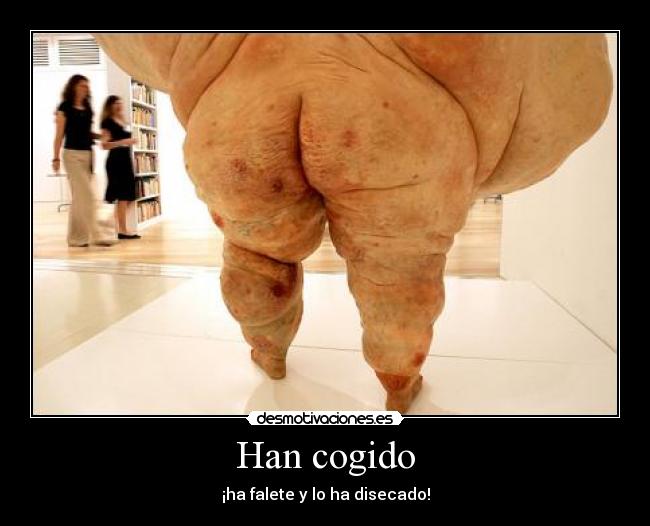 Han cogido - ¡ha falete y lo ha disecado!