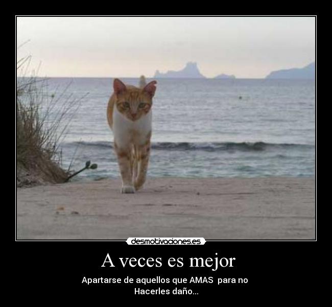 A veces es mejor - Apartarse de aquellos que AMAS para no
Hacerles daño...