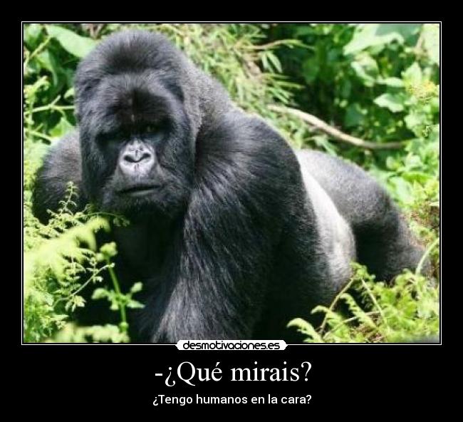 -¿Qué mirais? -