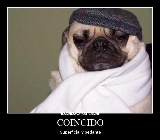 COINCIDO - Superficial y pedante