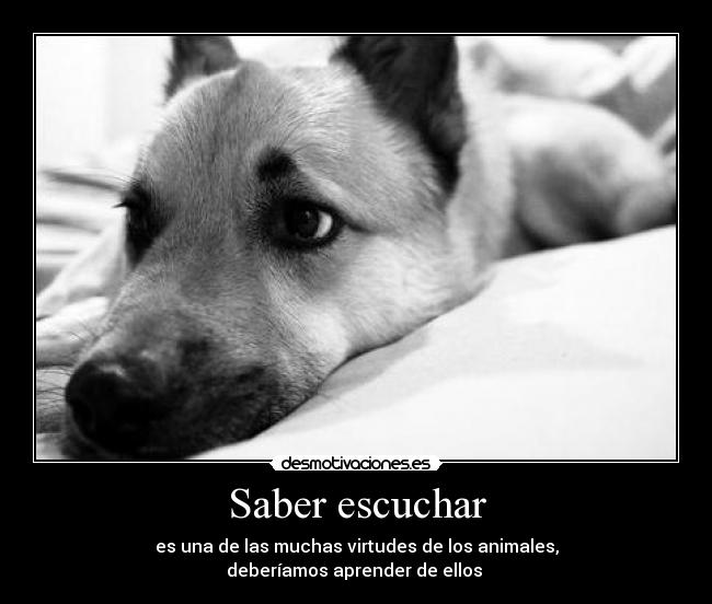 Saber escuchar - 