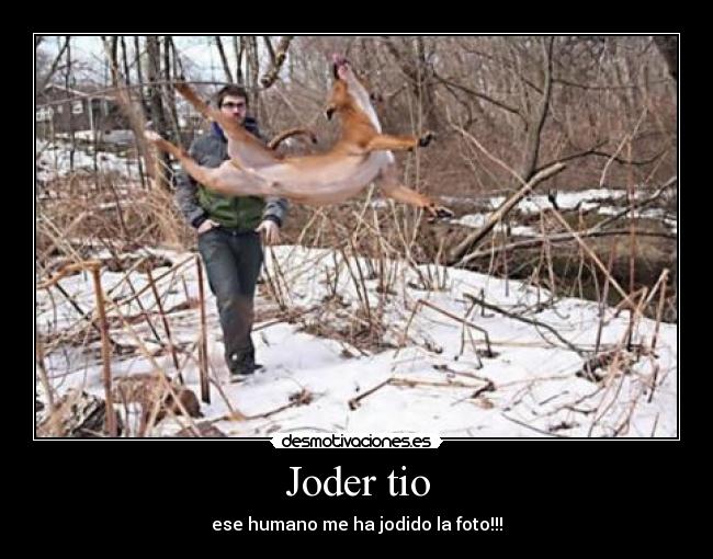 carteles nino desmotivaciones