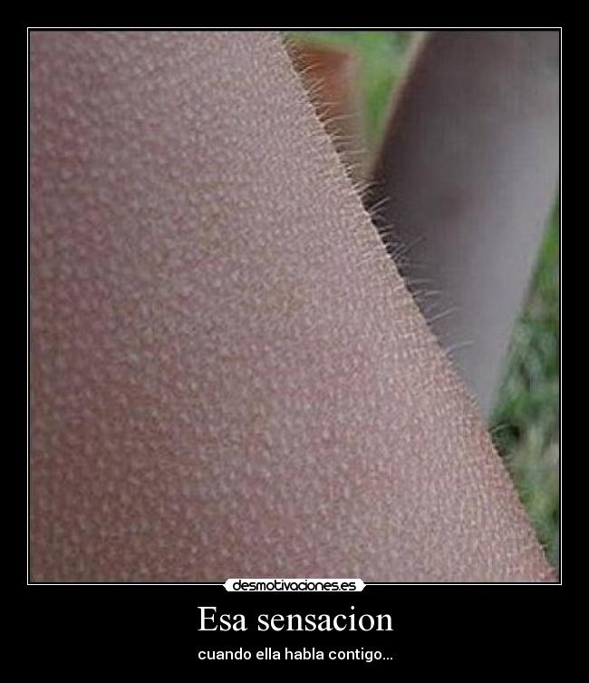 Esa sensacion - 