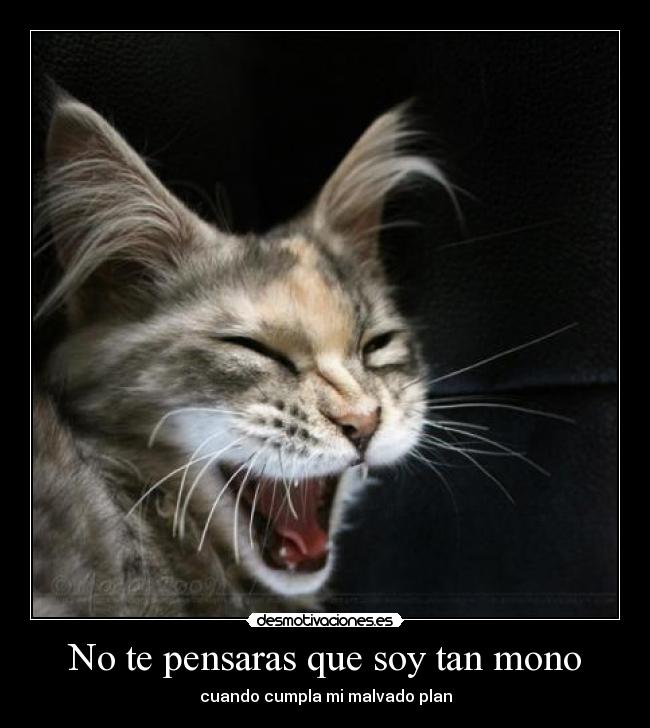No te pensaras que soy tan mono - 