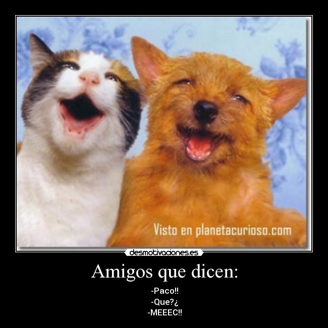 Amigos que dicen: -