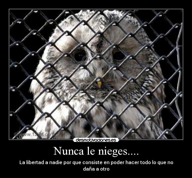 Nunca le nieges.... -
